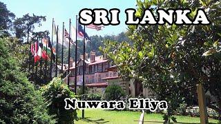 SRI LANKA : Nuwara Eliya