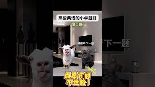 离谱的小学题目 #猫meme #搞笑 #离谱 #内容启发搜索 #猫meme小剧场 #人類迷惑行為 #精神状态belike #真实还原 #内容启发搜索 #校园