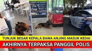 TUNJUK BESAR KEPALA BAWA ANJING MASUK KEDAI