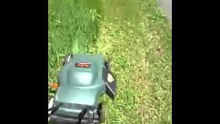 Rene mowing the lawn