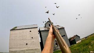 This Abandoned Grain Terminal Was STACKED with Pigeons! (100+ BIRDS)