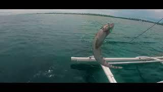 Olango Island, Cebu - Quick fishing session