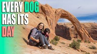 Pet Friendly Hike Near Moab Utah - Sweetie's Birthday and Corona Arch - Full Time RV