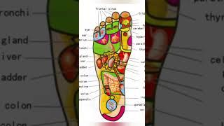 50 + Reasons to Massage Your feet every day before sleeping | Foot Acupressure Points