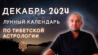 ЛУННЫЙ ГОРОСКОП ДЕКАБРЬ 2024 | Календарь Стрижек | ЗУХРАЙ