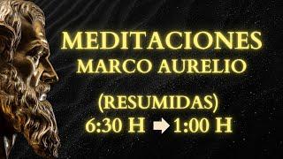 RESUMEN DEL LIBRO DE MEDITACIONES ▶ MARCO AURELIO (GUÍA DE ESTOICISMO)