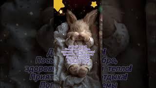 Добрый вечер хорошего вечера открытки на каждый день #открытка #добрый #видеооткрытка #добрыйвечер