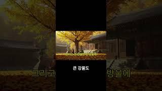 자비롭게 살 수 있을까요  현실에서 가능한가?｜명상·마음챙김·중도의 지혜