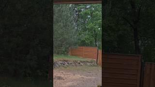 Утро наступил а просветлеть забыло