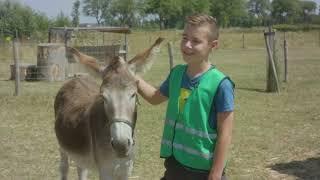 Steun de makers van Landerij De Park Vrijwilligers kinderboerderij