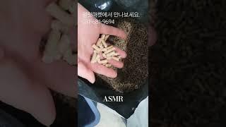 목재펠릿 ASMR