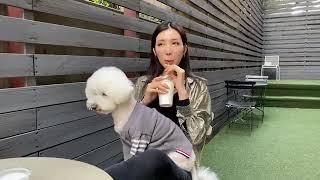 Miss Universe Korea 2020