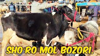 Shoʻro Mol Bozoridan.