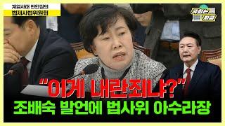 "이게 내란죄냐?" 조배숙 발언에  법사위 아수라장 [문화일보]