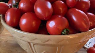 Sow, Grow And Cook: Roasted Tomato Soup October 2019