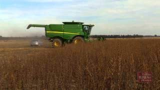 Sesame Production in Arkansas