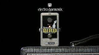 Electro Harmonix Screaming Bird Treble Booster | Gear4music demo