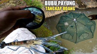 PASANG BUBU PAYUNG PERANGKAP UDANG