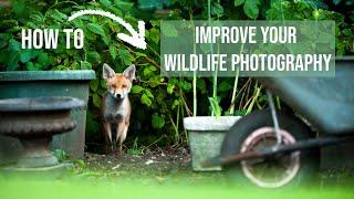 5 tips to IMPROVE YOUR WILDLIFE photography in 2024 | Develop your work like a pro