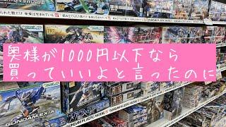 寝る前のゲリラ更新！！草むしりしたご褒美にガンプラ！？