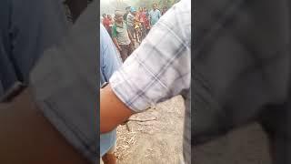 अजिङ्गर साँप भेटियो  Big snake #viralvideo #youtubeshorts #vairalshorts #dipak Nepal snake expert