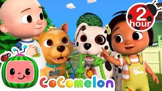 It's a Puppy Play Date With JJ & Nina + More | Cocomelon Nursery Rhymes | Moonbug - Our Green Earth