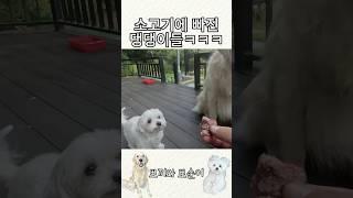 못기다리면 한 턴 패스야!!!!