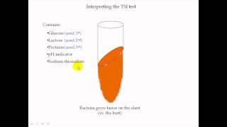 TSI Test Part 2