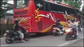 bus budiman,bus damri dan bus sugeng rahayu kena macet