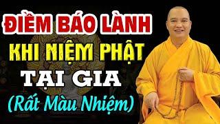 Điềm Báo Lành Khi Niệm Phật Tại Gia (rất màu nhiệm) - Thầy Thích Thích Đạo Thịnh