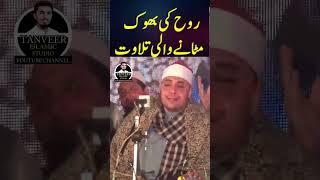 Misri Qari Best Tilawat | Best Quran Recition In The World 2023 | Tilawat |Tanveer Islamic Studio