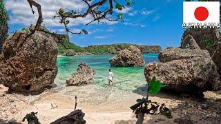 Japan's paradise. A remote island trip that can be reached by car |in Okinawa