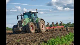 1100 chevaux en actions en Charente-Maritime !!! 