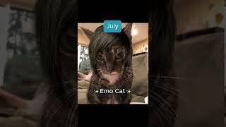 Your Birth Month Your Cat