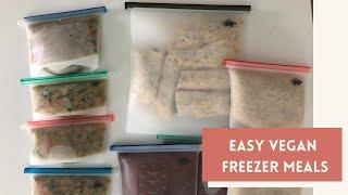 Budget-Friendly Vegan Meal Prep | Freezer Meals in 1 Hour!