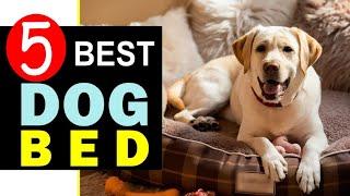 Best Dog Beds 2024  Top 5 Best Dog Bed Reviews