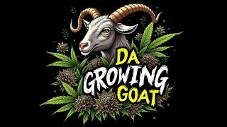 DaGrowingGoat Back Live Come Join show your grow!