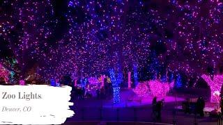 Denver Zoo Lights // Christmas LIGHTS // Amazing Views!