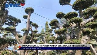 Geliat Kampung Bonsai di Lamongan, Jawa Timur #LintasiNewsPagi 04/04