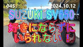 SUZUKI SV650 誰からも好かれて当たり前！