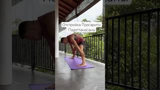Напоминать о том, чтобы сгибали колени вместо спины - не устану никогда #йогадляначинающих #йога