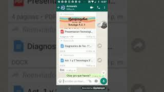 ¿Por qué no puedo abrir archivos en WhatsApp?