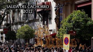 [4K] SALIDA DEL CACHORRO | PRESENTACIÓN AL PUEBLO | 2022
