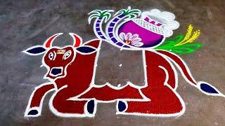 Maatu pongal kolam/6*4*4 sankranti basavanna muggulu/ThaiPongal maadu kolam/Amazingrangoli