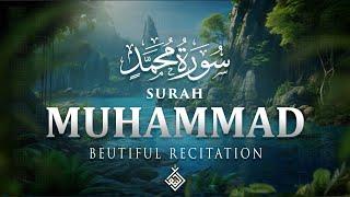 Surah Muhammad سورة محمد | A Divine Recitation That Inspires Reflection | Al-Taqwa TV