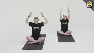 TMAR-M for P3T 19 Seated Spinal Twist