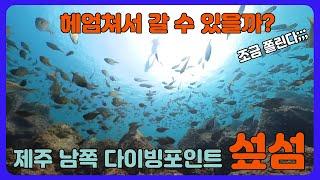 제주 1편 . 섶섬 스노클링. 헤엄쳐서 가봤다.