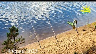 Рыбалка на Макароны. Донки Крокодил. Осень 2023