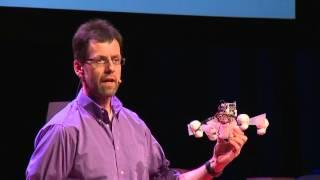 The row-bot that feeds on pollution | Jonathan Rossiter | TEDxWarwick