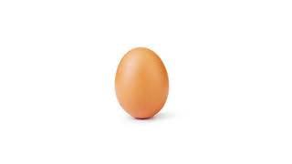 literally a still image of an egg